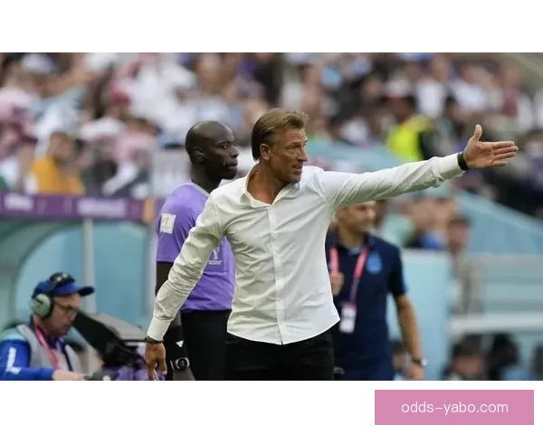 意大利足协发布公告加图索正式卸任国家队主教练